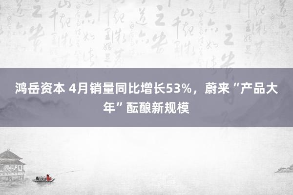 鸿岳资本 4月销量同比增长53%，蔚来“产品大年”酝酿新规模