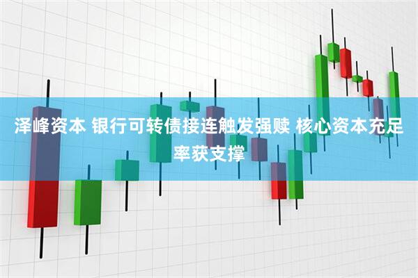泽峰资本 银行可转债接连触发强赎 核心资本充足率获支撑
