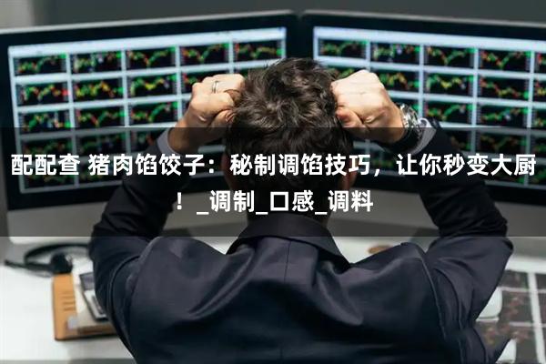 配配查 猪肉馅饺子：秘制调馅技巧，让你秒变大厨！_调制_口感_调料