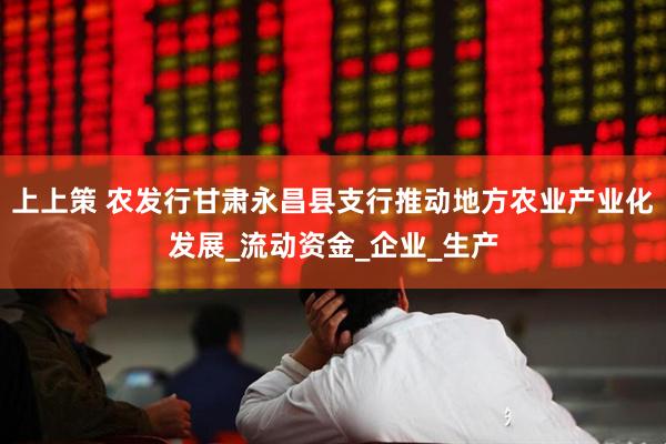 上上策 农发行甘肃永昌县支行推动地方农业产业化发展_流动资金_企业_生产